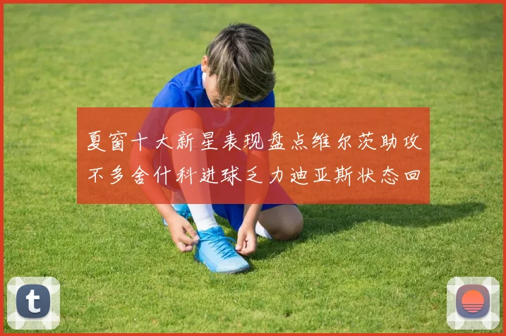 夏窗十大新星表现盘点维尔茨助攻不多舍什科进球乏力迪亚斯状态回暖