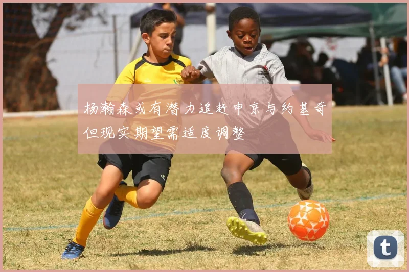 杨瀚森或有潜力追赶申京与约基奇但现实期望需适度调整