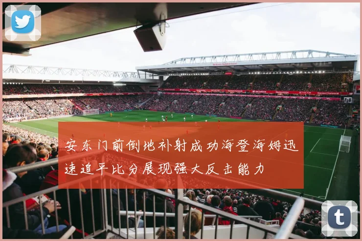 安东门前倒地补射成功海登海姆迅速追平比分展现强大反击能力