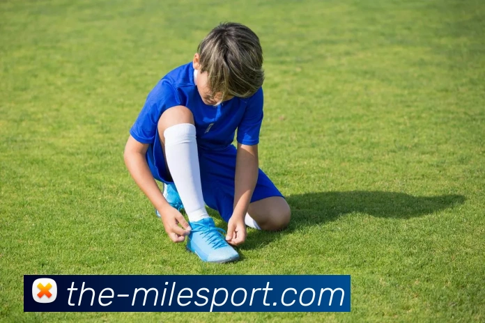 米乐体育平台生态图